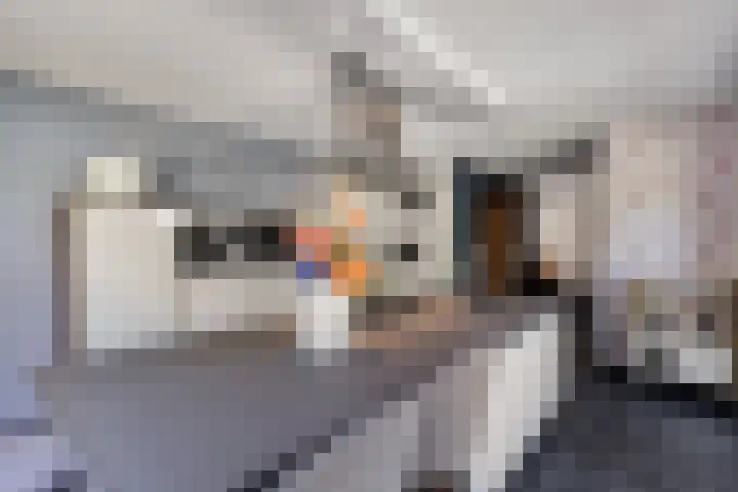 Oudeborgstraat 4 Herten thumbnail 19