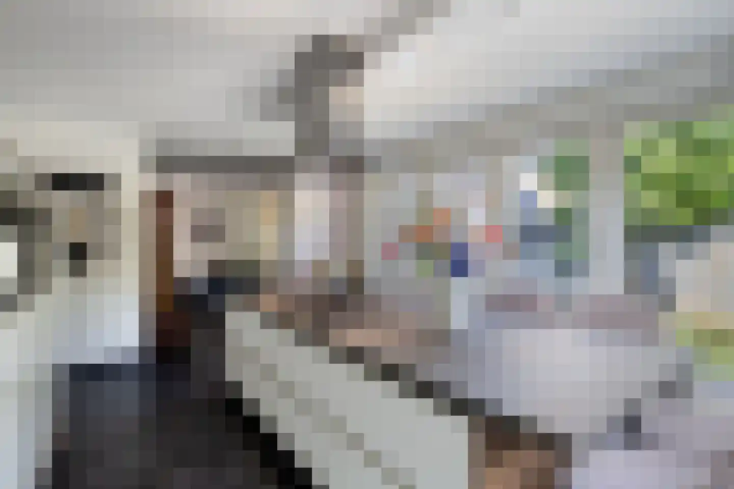 Oudeborgstraat 4 Herten thumbnail 22