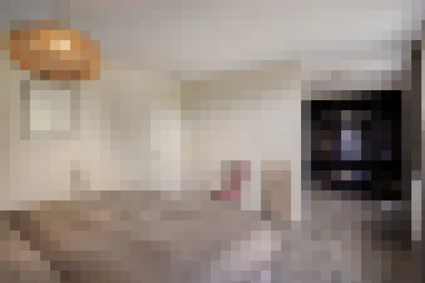 Oudeborgstraat 4 Herten thumbnail 27