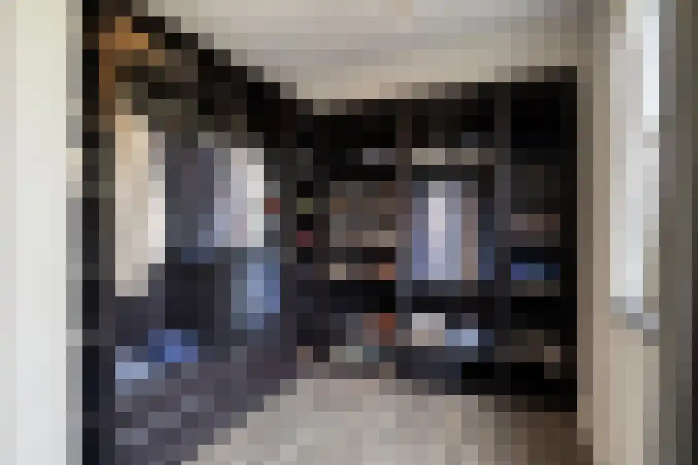 Oudeborgstraat 4 Herten thumbnail 28