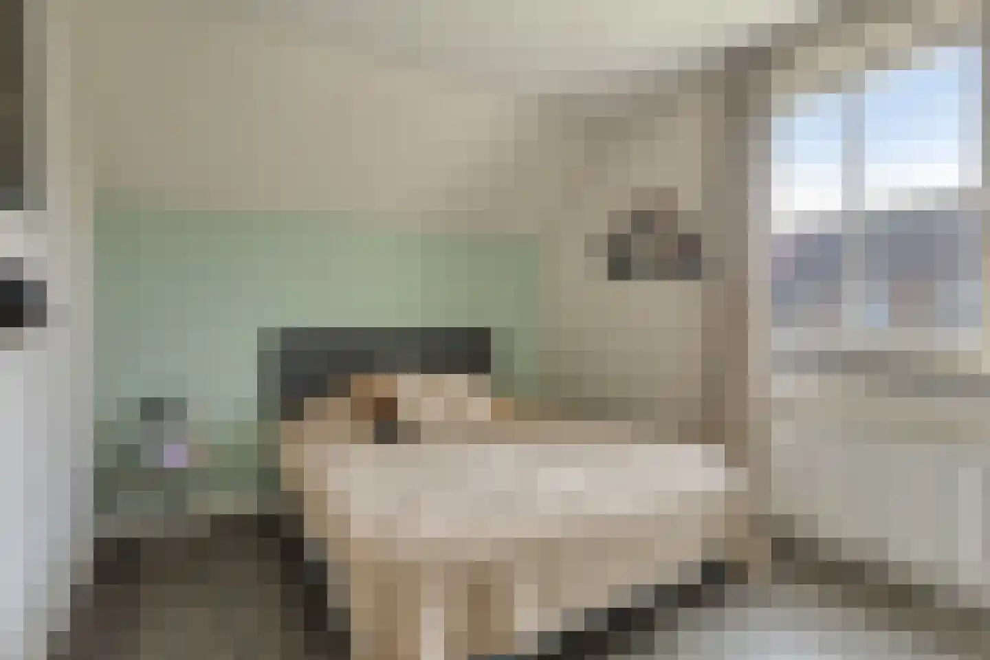 Oudeborgstraat 4 Herten thumbnail 30