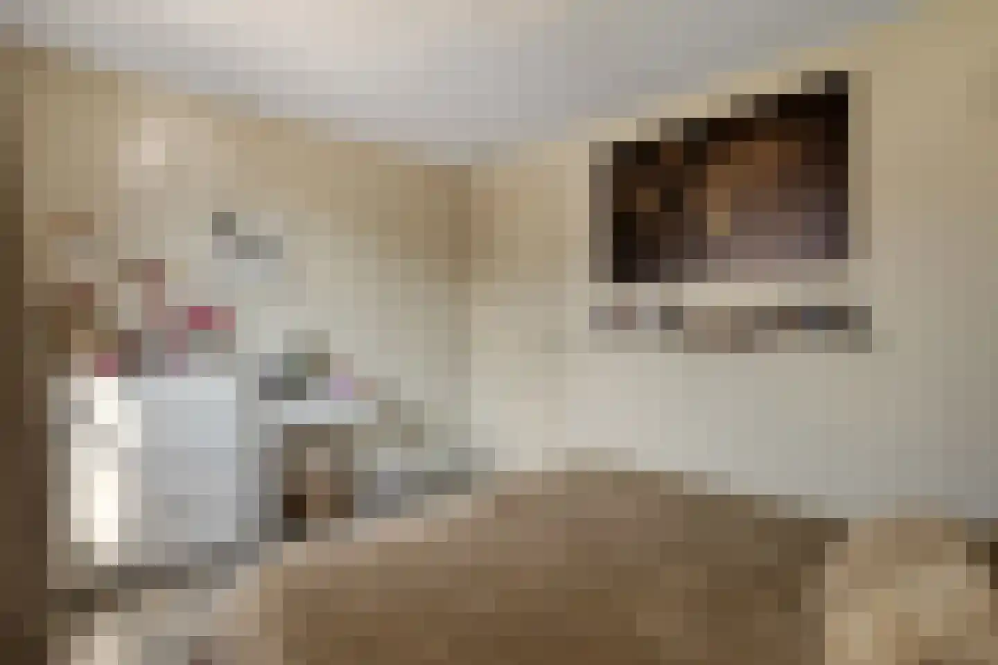 Oudeborgstraat 4 Herten thumbnail 31