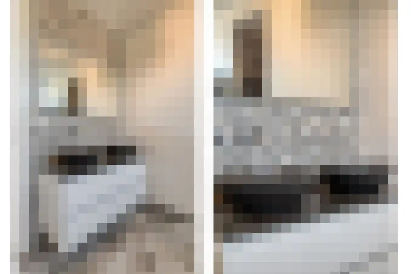 Oudeborgstraat 4 Herten thumbnail 35