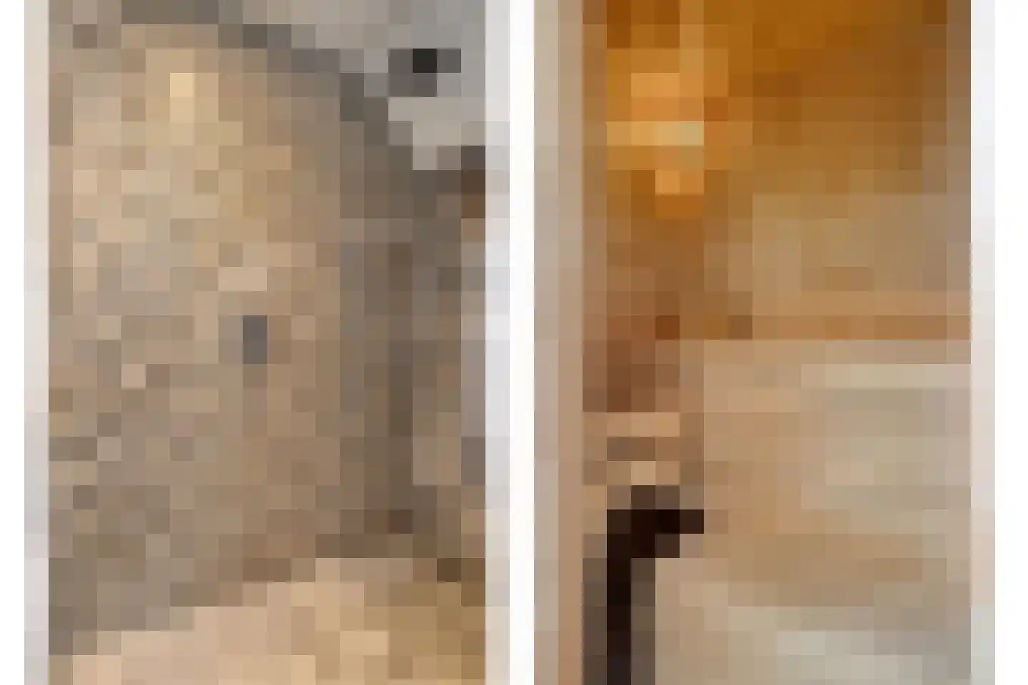 Oudeborgstraat 4 Herten thumbnail 36