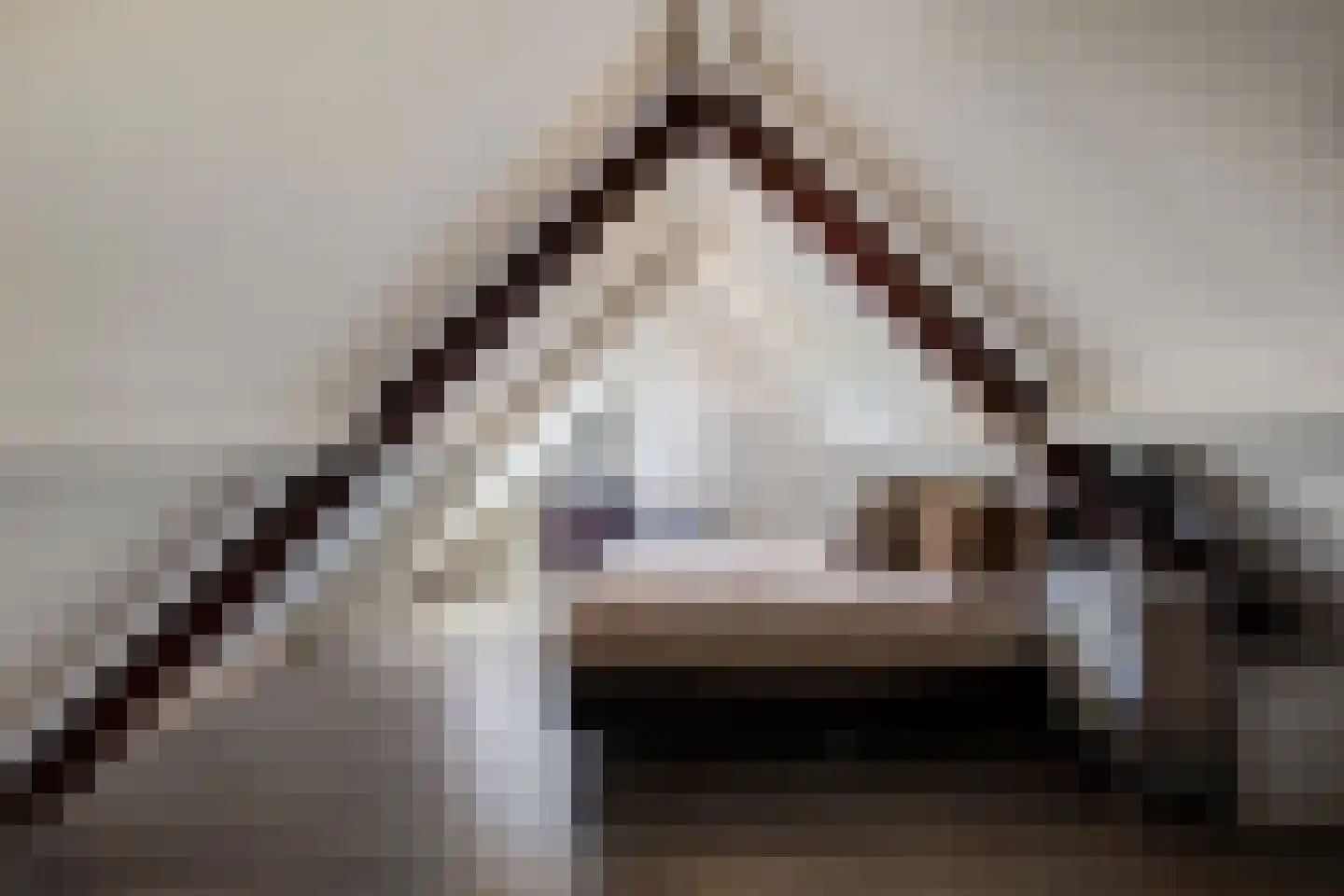 Oudeborgstraat 4 Herten thumbnail 38