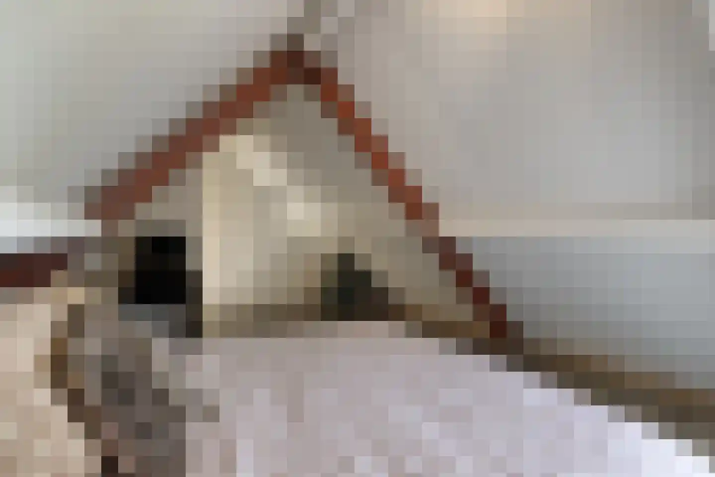 Oudeborgstraat 4 Herten thumbnail 39