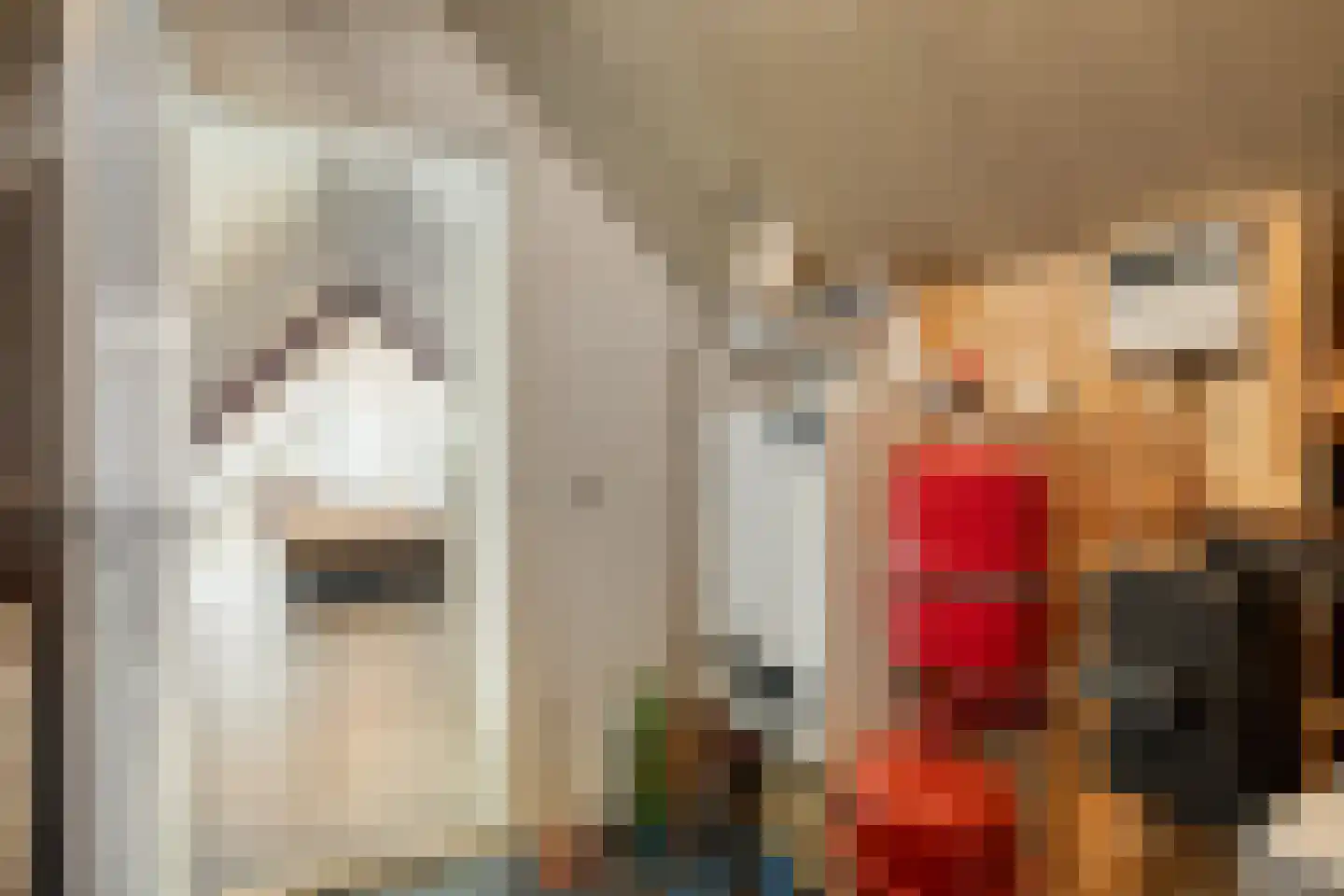 Oudeborgstraat 4 Herten thumbnail 42
