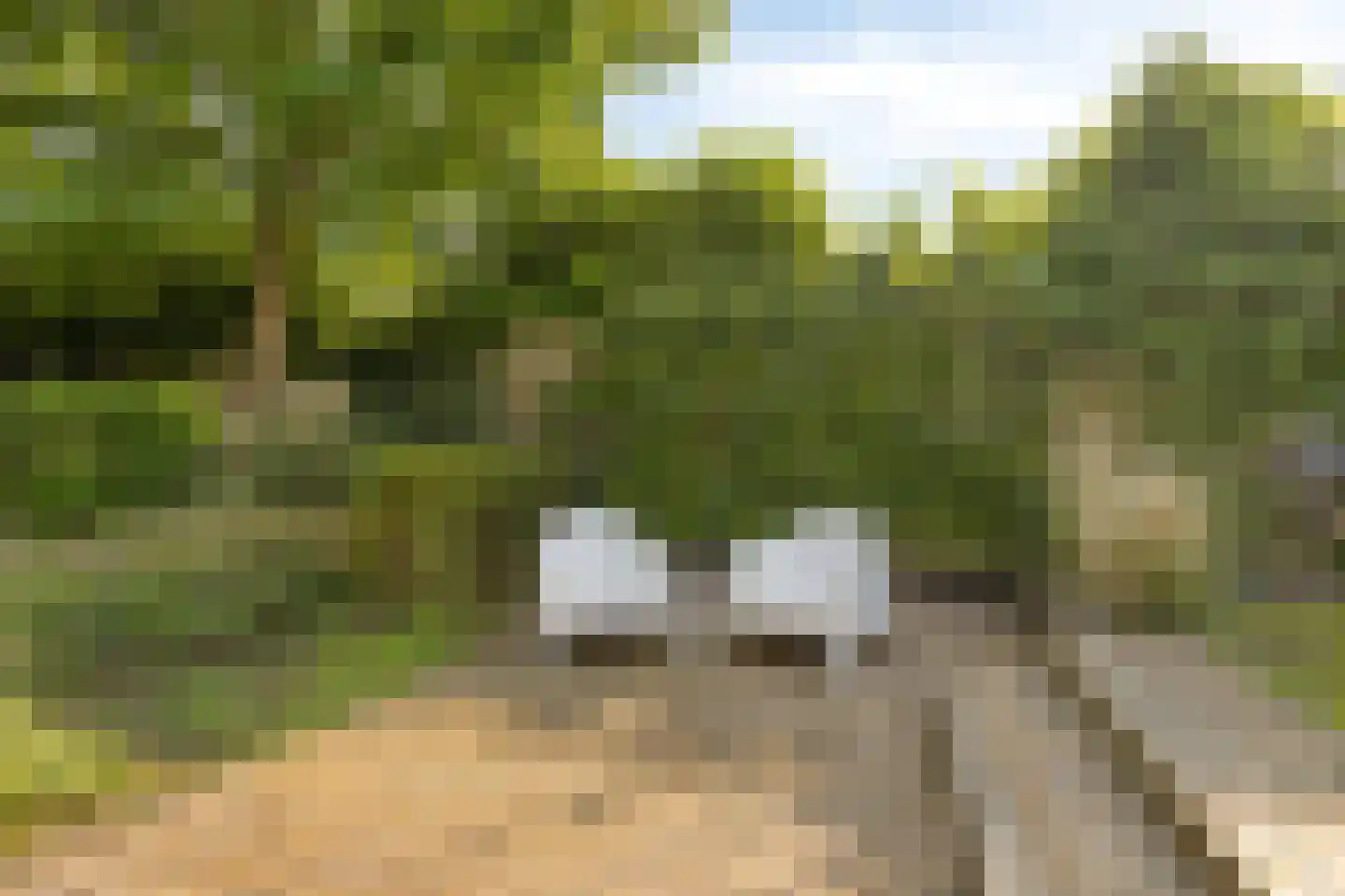 Oudeborgstraat 4 Herten thumbnail 48