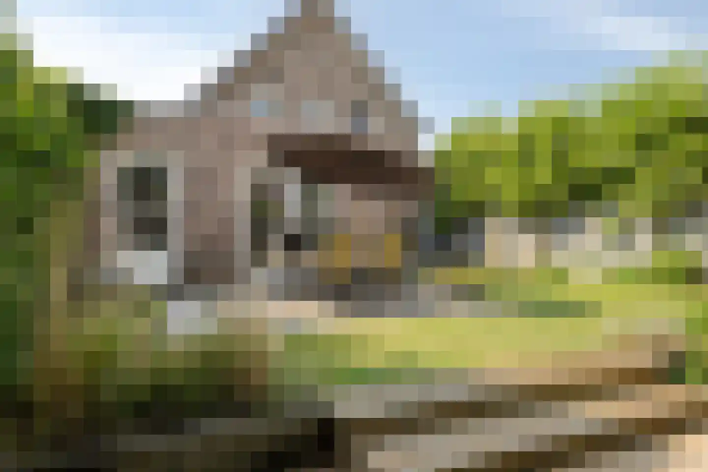 Oudeborgstraat 4 Herten thumbnail 49