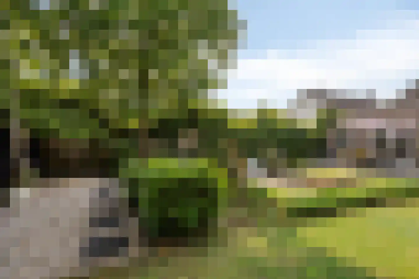 Oudeborgstraat 4 Herten thumbnail 50