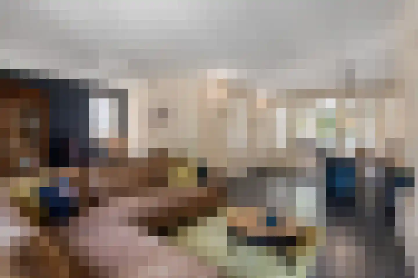 Oudeborgstraat 4 Herten thumbnail 9