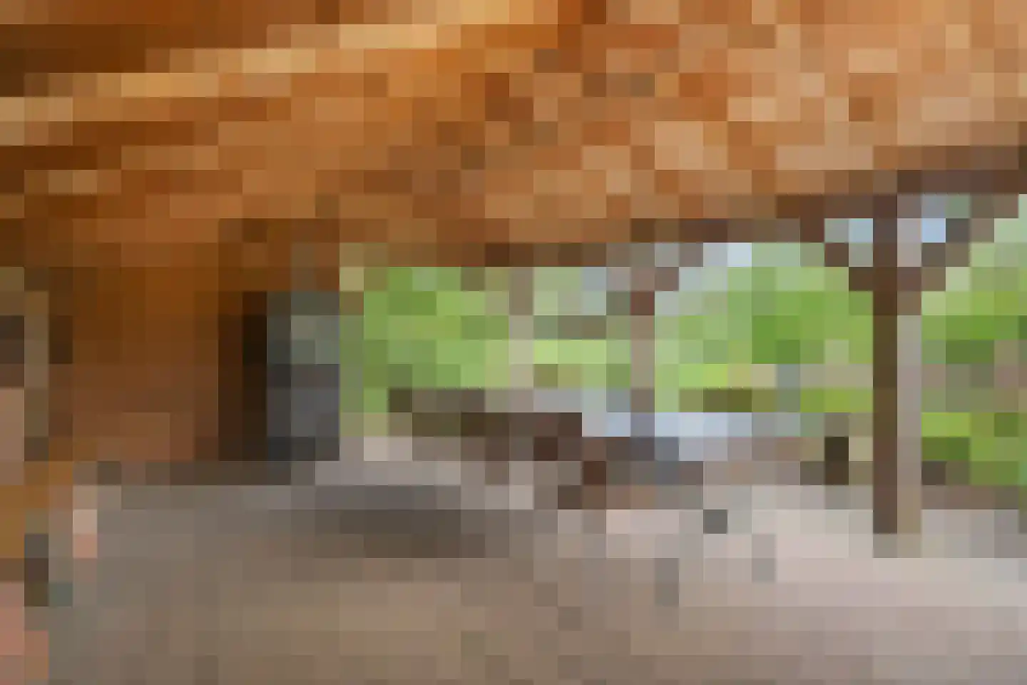 Oudebosweg 23 Dronten thumbnail 40