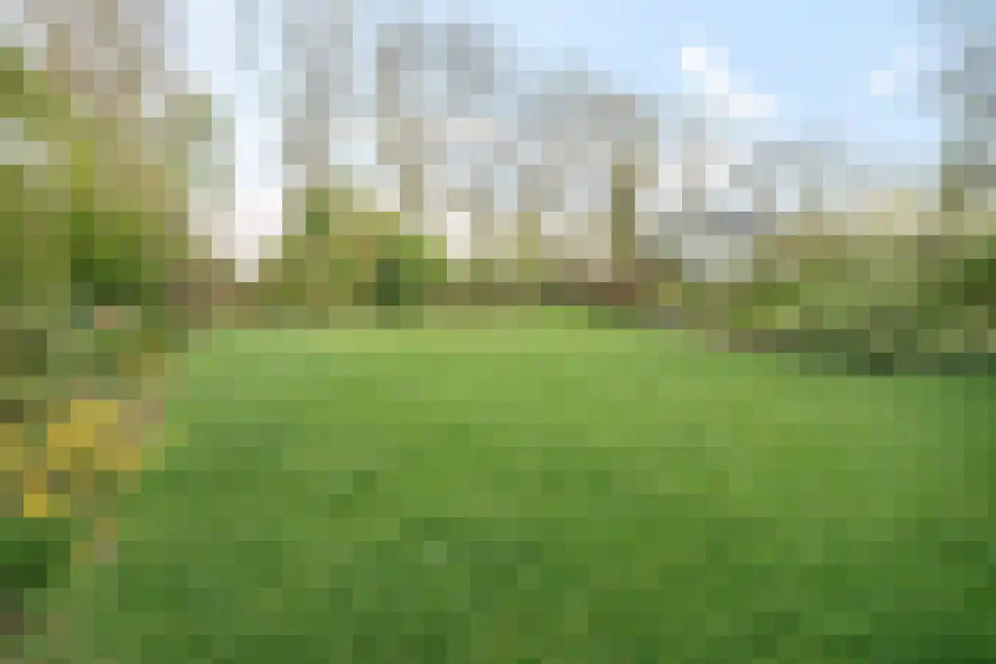 Oudebosweg 23 Dronten thumbnail 41