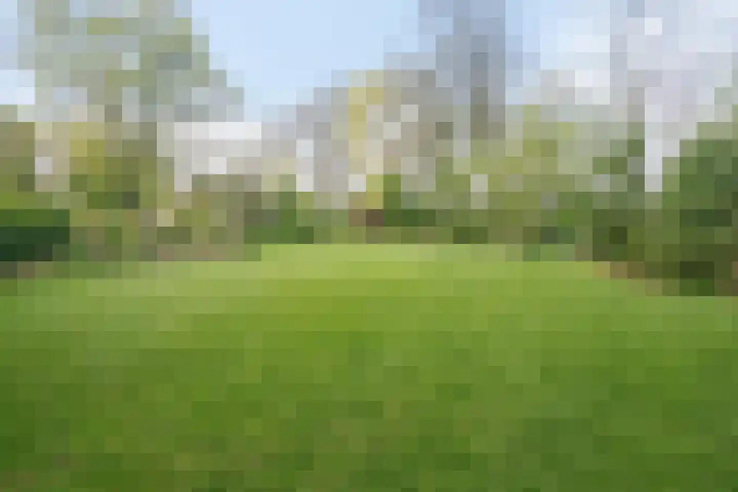 Oudebosweg 23 Dronten thumbnail 42