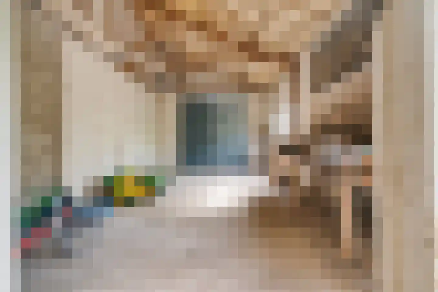 Oudebosweg 23 Dronten thumbnail 45