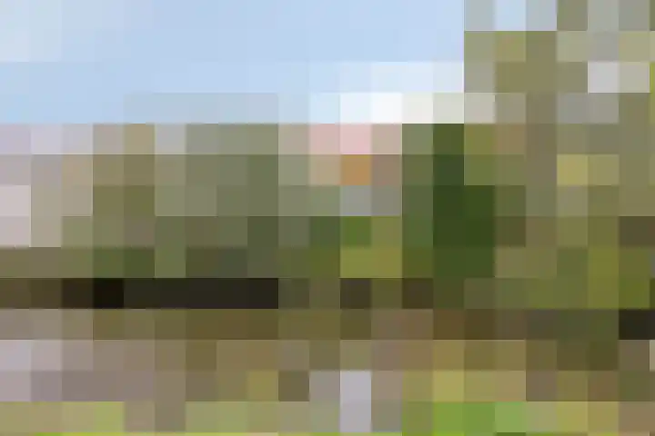 Oudebrugweg 5 Gouda thumbnail 48