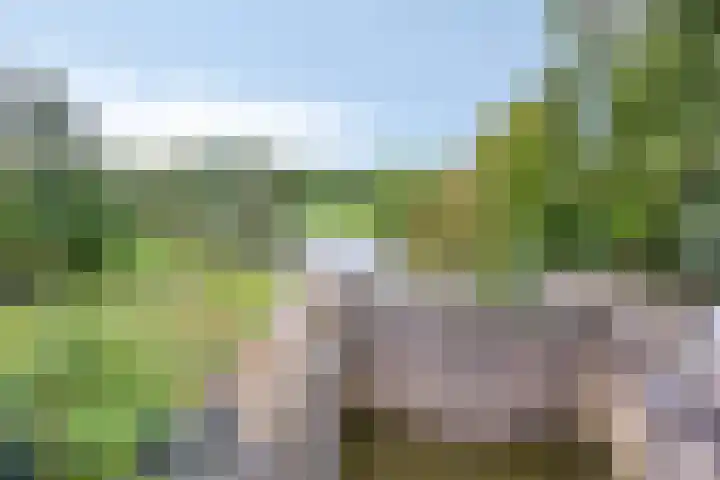 Oudebrugweg 5 Gouda thumbnail 54