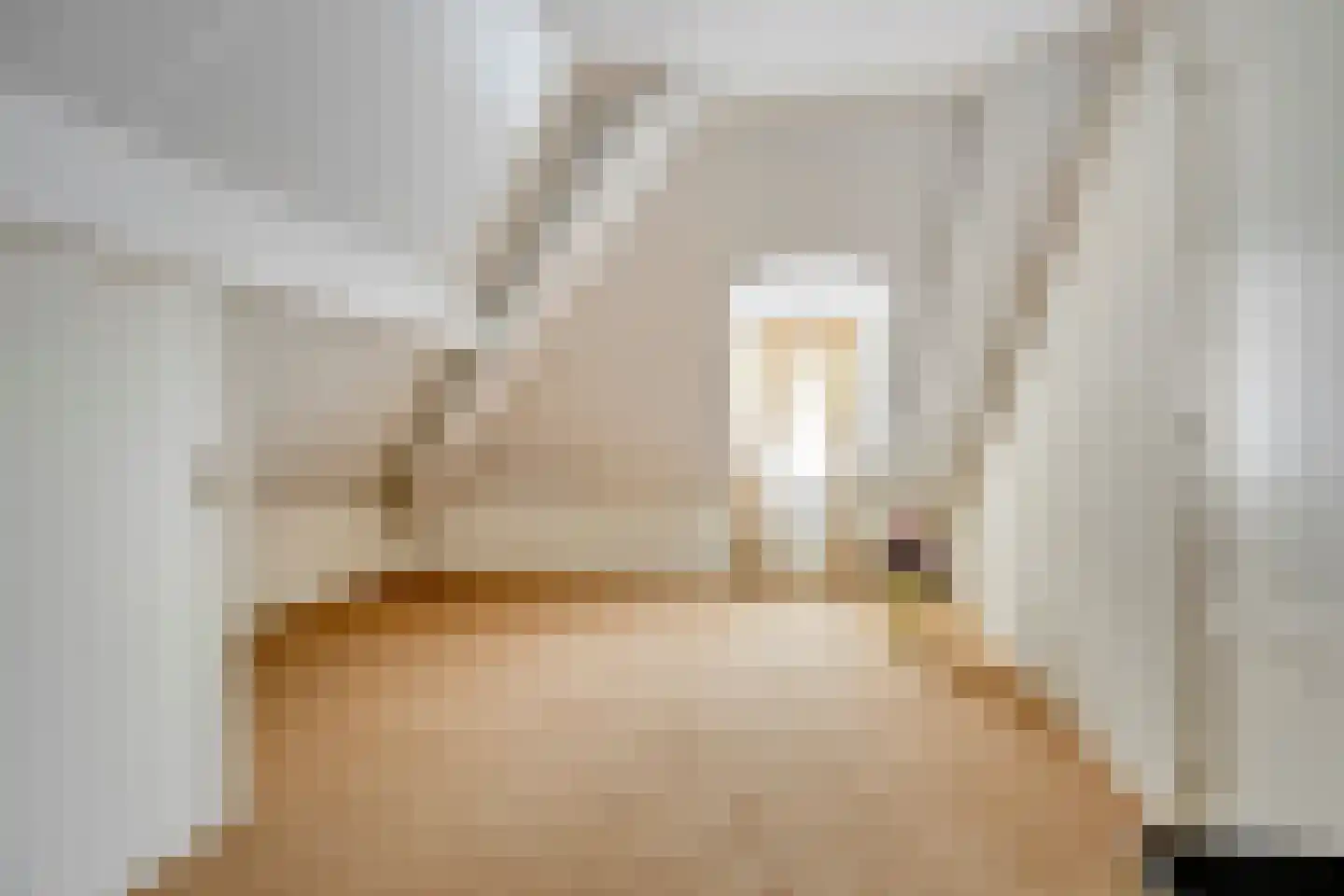 Oudecampsweg 20 De Lier thumbnail 28