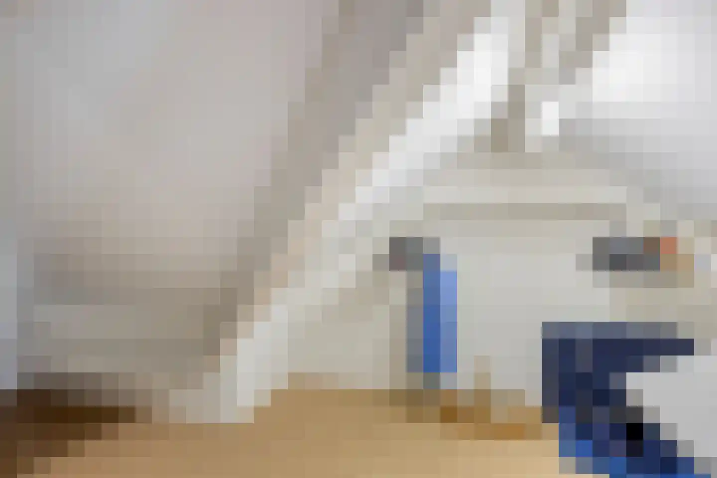 Oudecampsweg 20 De Lier thumbnail 31