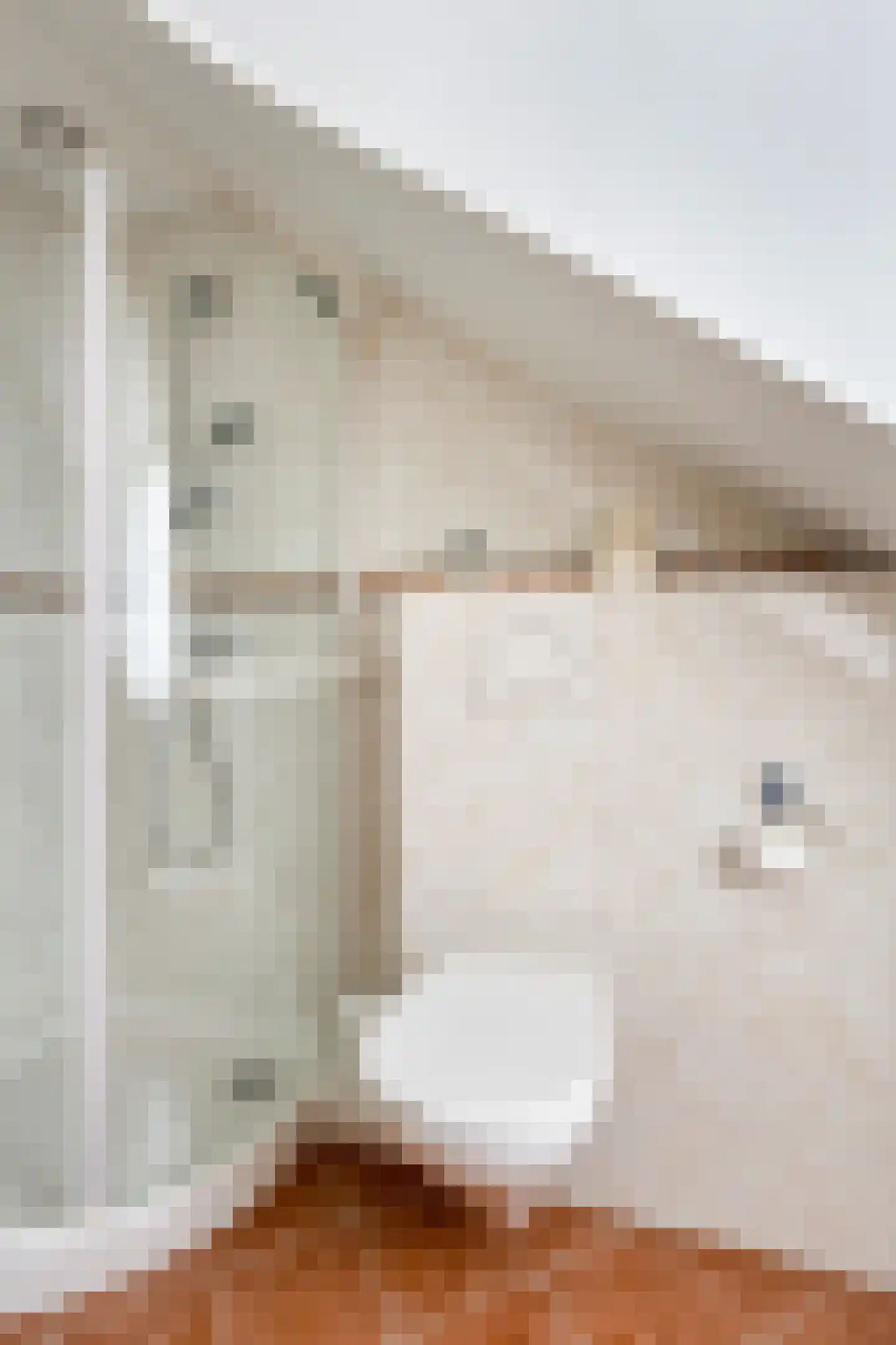 Oudecampsweg 20 De Lier thumbnail 34