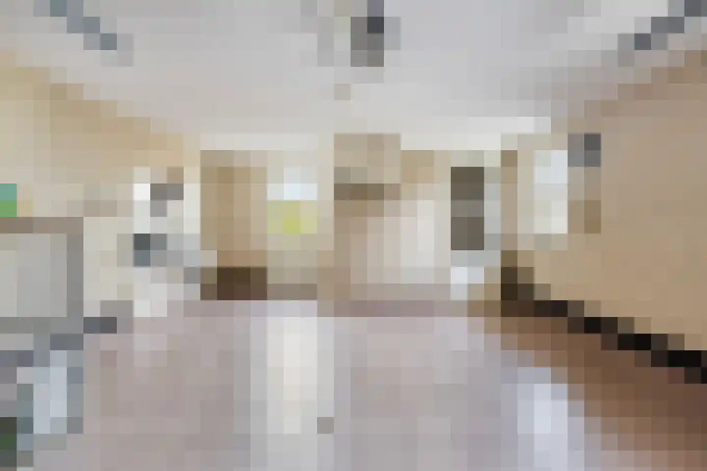 Oudecampsweg 20 De Lier thumbnail 37