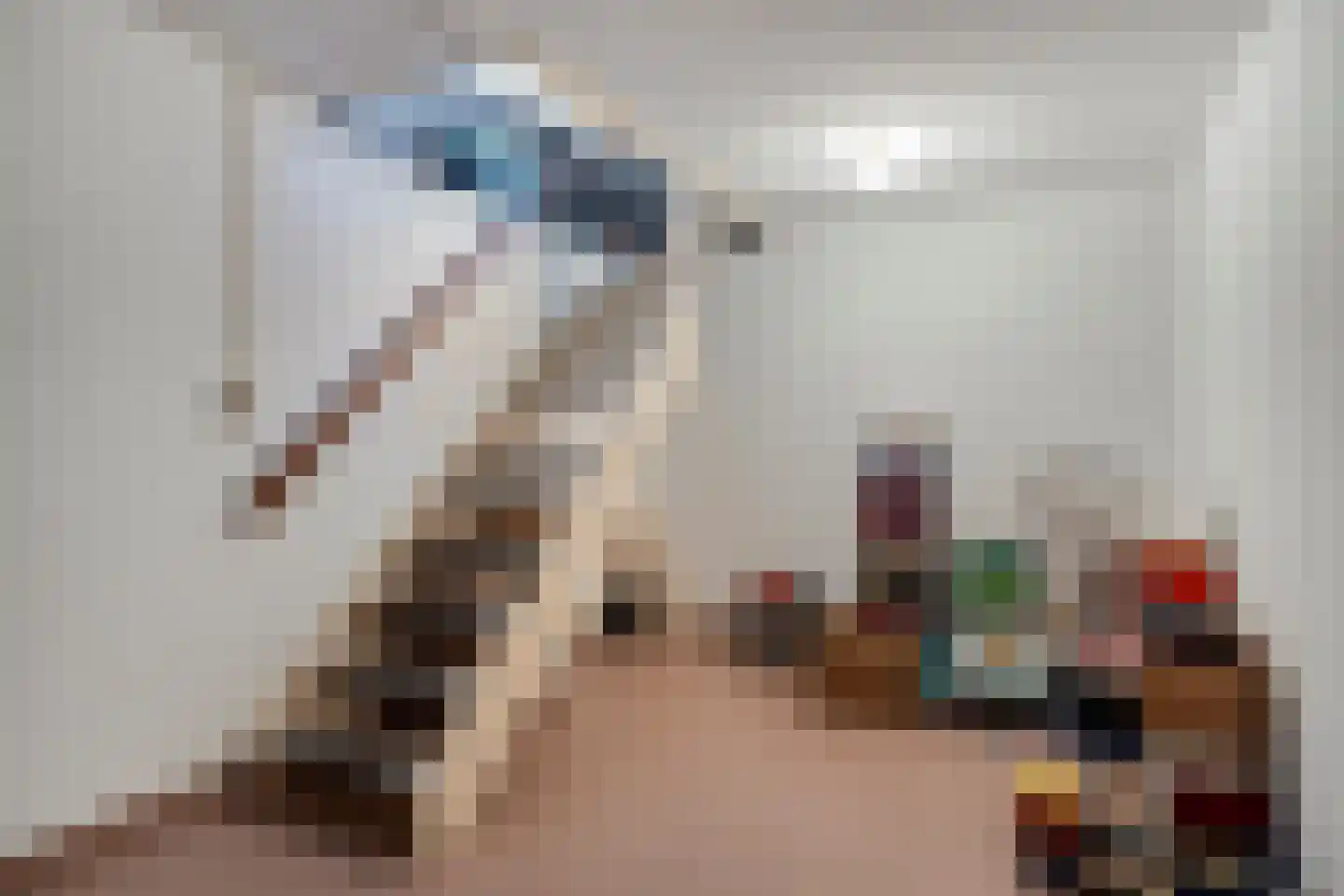 Oudecampsweg 20 De Lier thumbnail 38