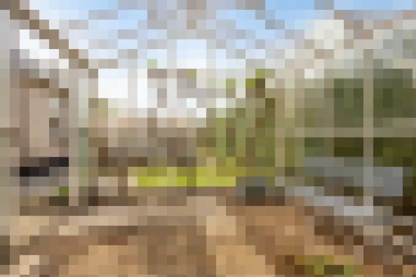 Oudecampsweg 20 De Lier thumbnail 48