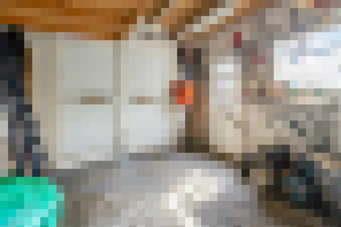 Oudecampsweg 20 De Lier thumbnail 51