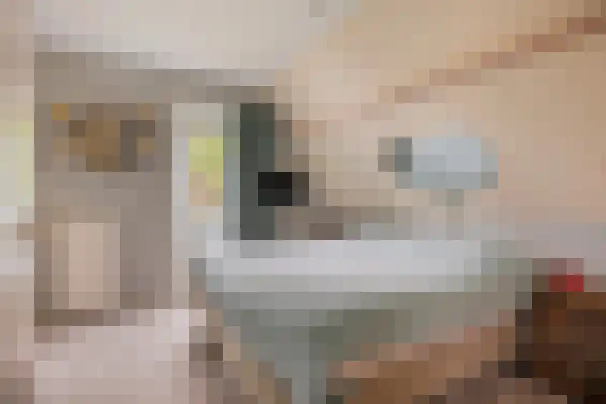 Oudecampsweg 23 De Lier thumbnail 14