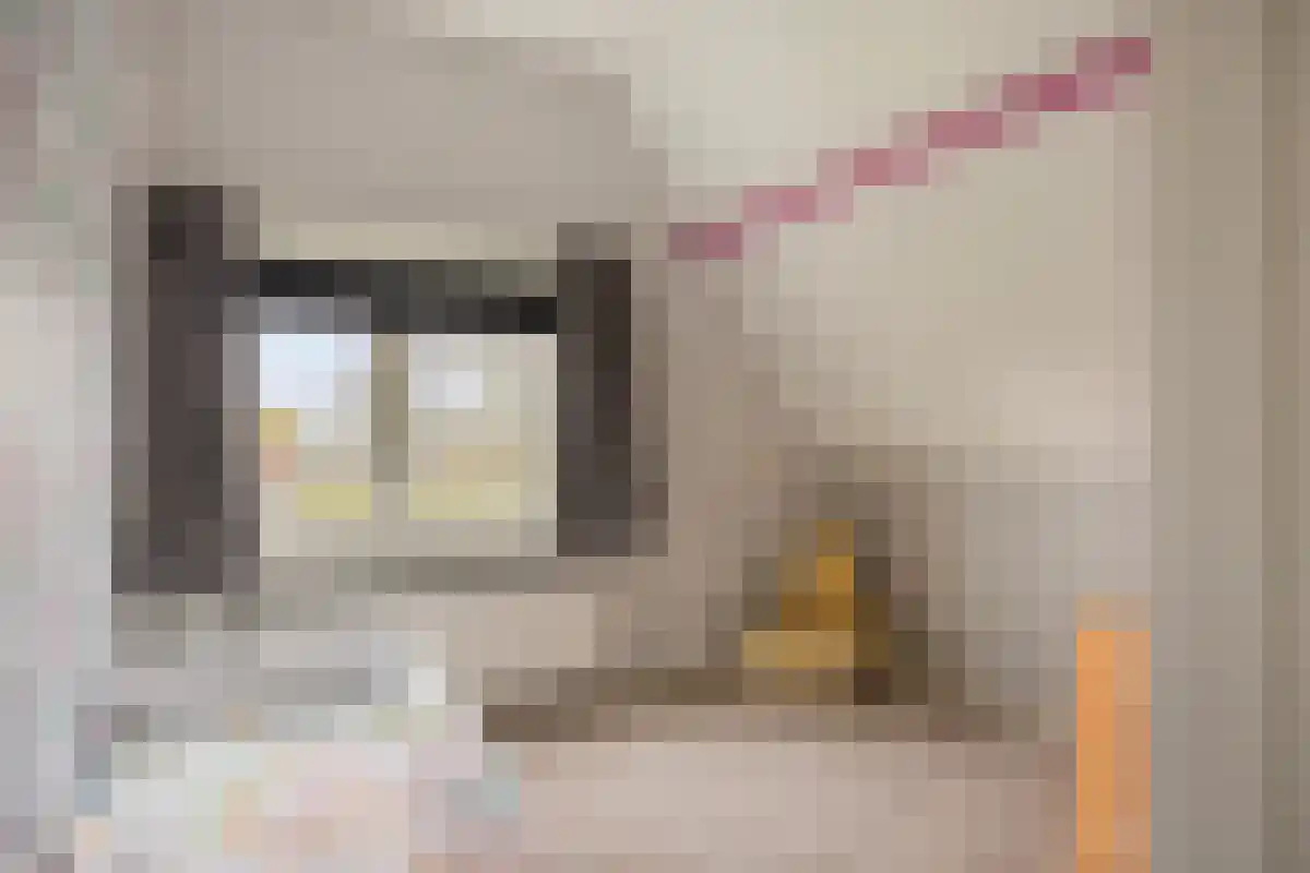 Oudecampsweg 23 De Lier thumbnail 18