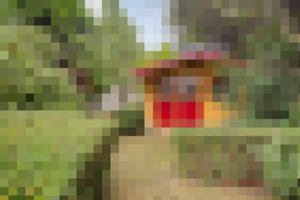 Oudecampsweg 23 De Lier thumbnail 21
