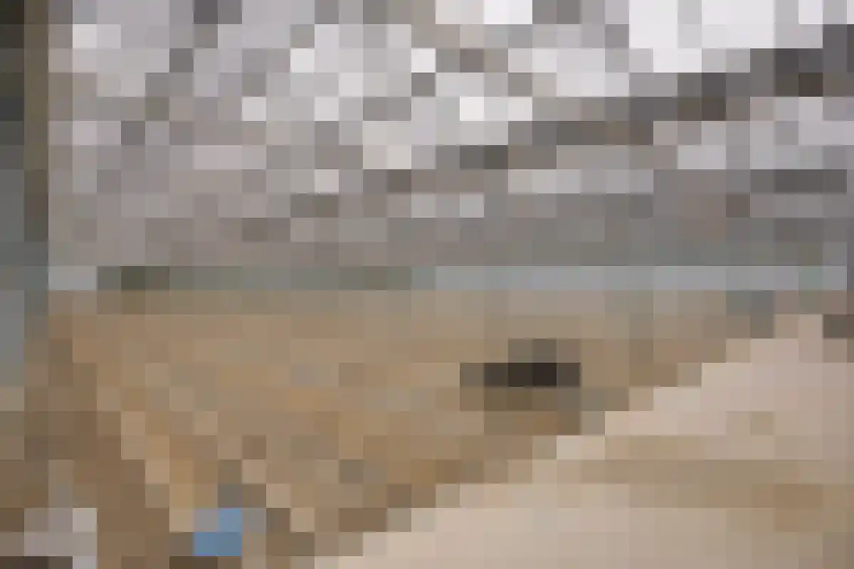 Oudecampsweg 23 De Lier thumbnail 31