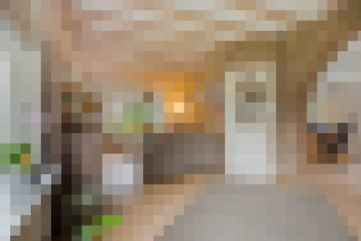 Oudecampsweg 23 De Lier thumbnail 6