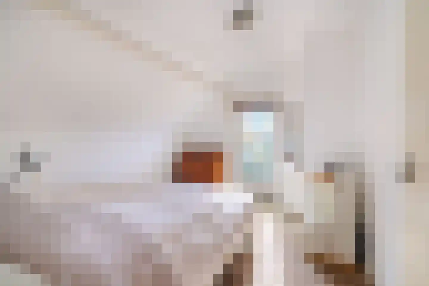 Oudecampsweg 43 De Lier thumbnail 13