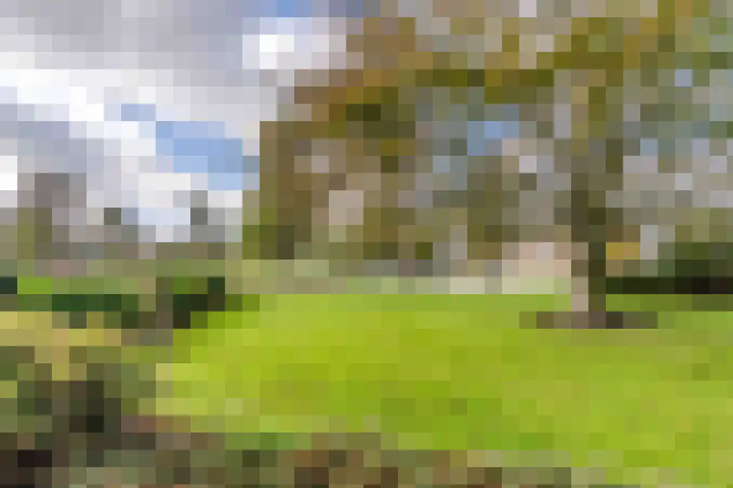 Oudecampsweg 43 De Lier thumbnail 16