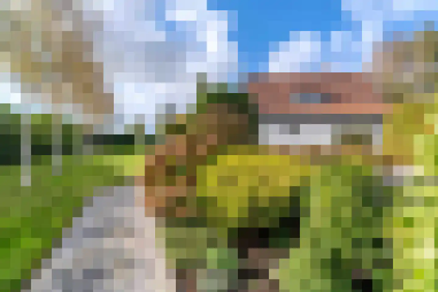 Oudecampsweg 43 De Lier thumbnail 19