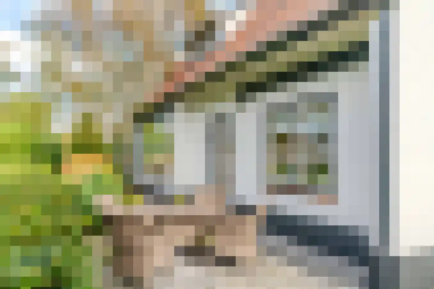 Oudecampsweg 43 De Lier thumbnail 4
