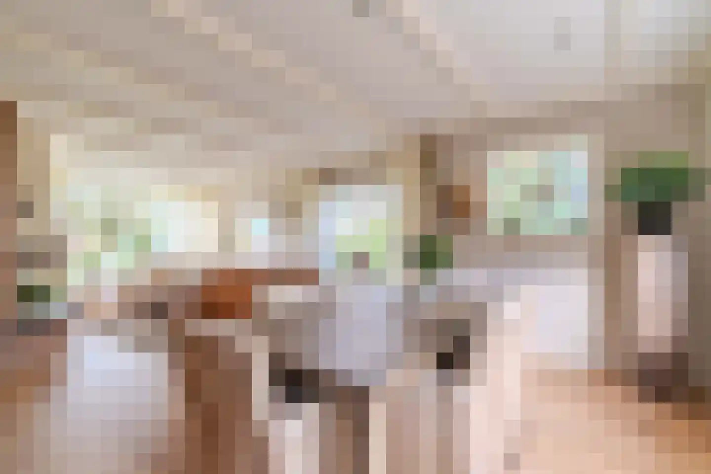 Oudecampsweg 43 De Lier thumbnail 6
