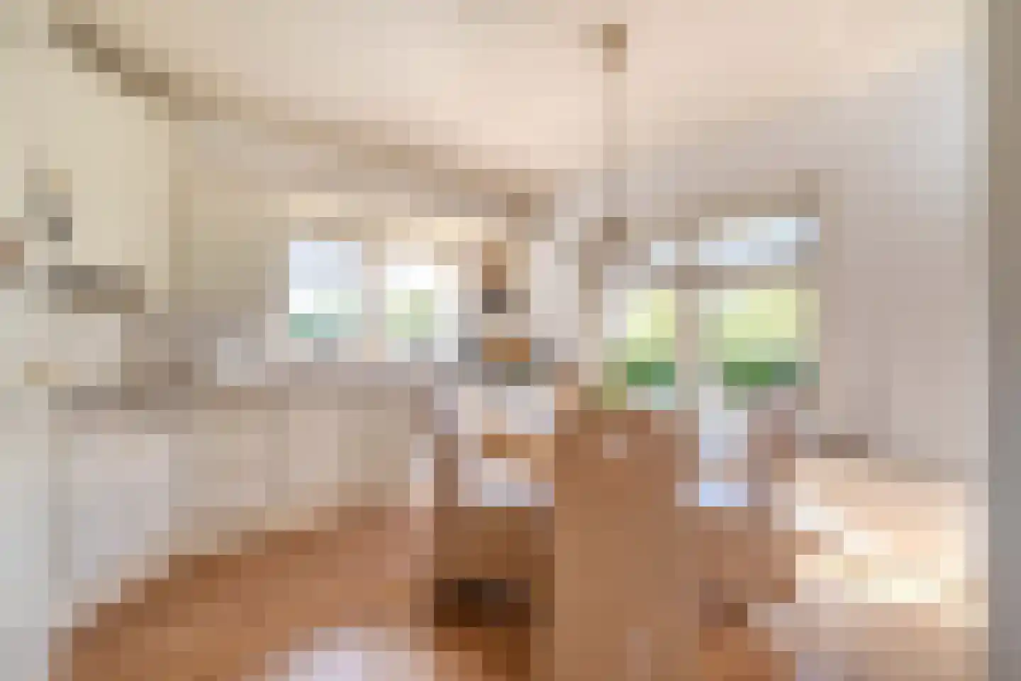 Oudecampsweg 43 De Lier thumbnail 7