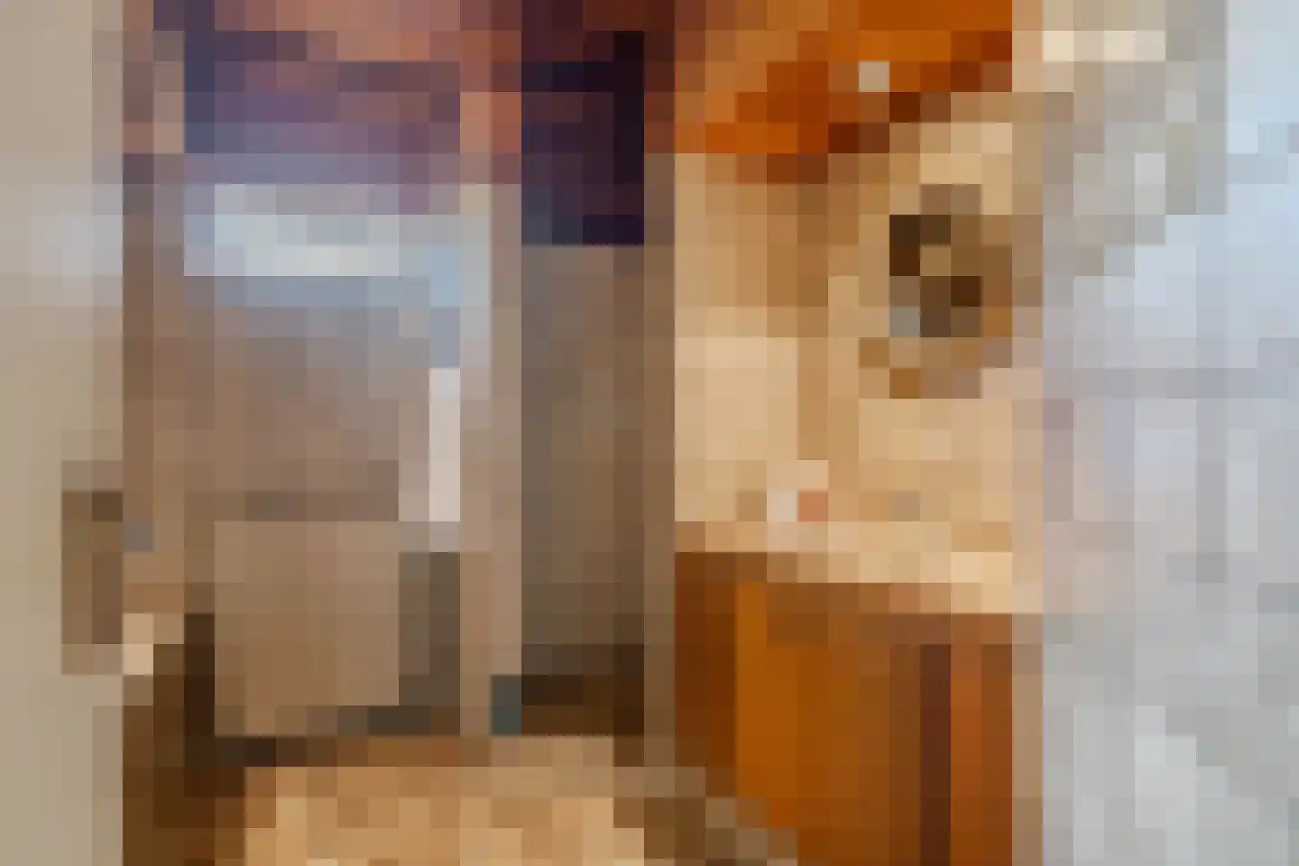 Oudecampsweg 43 De Lier thumbnail 8