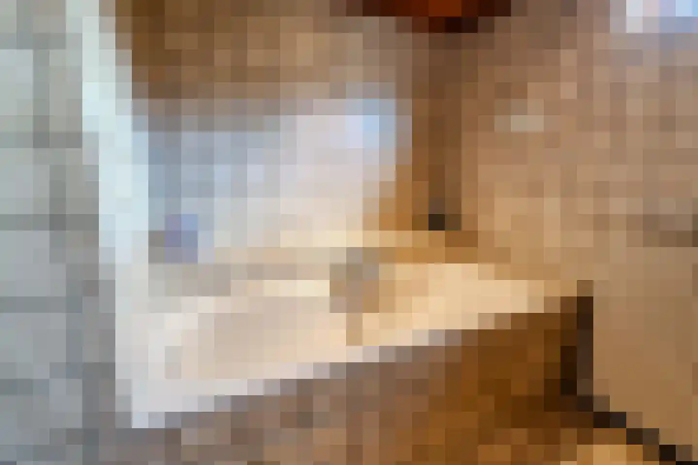 Oudecampsweg 43 De Lier thumbnail 9