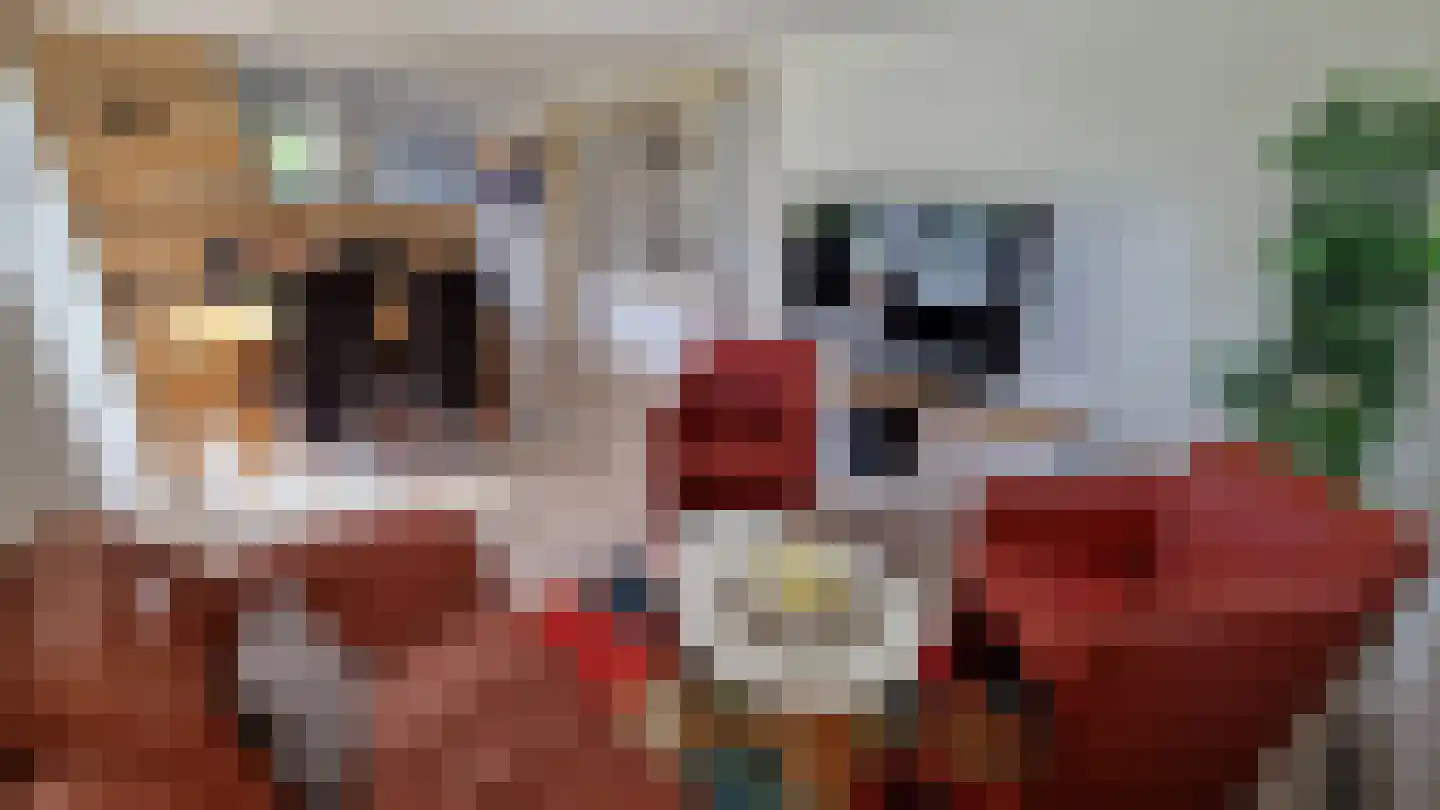 Oudedijk 1 h15 Schagen thumbnail 11