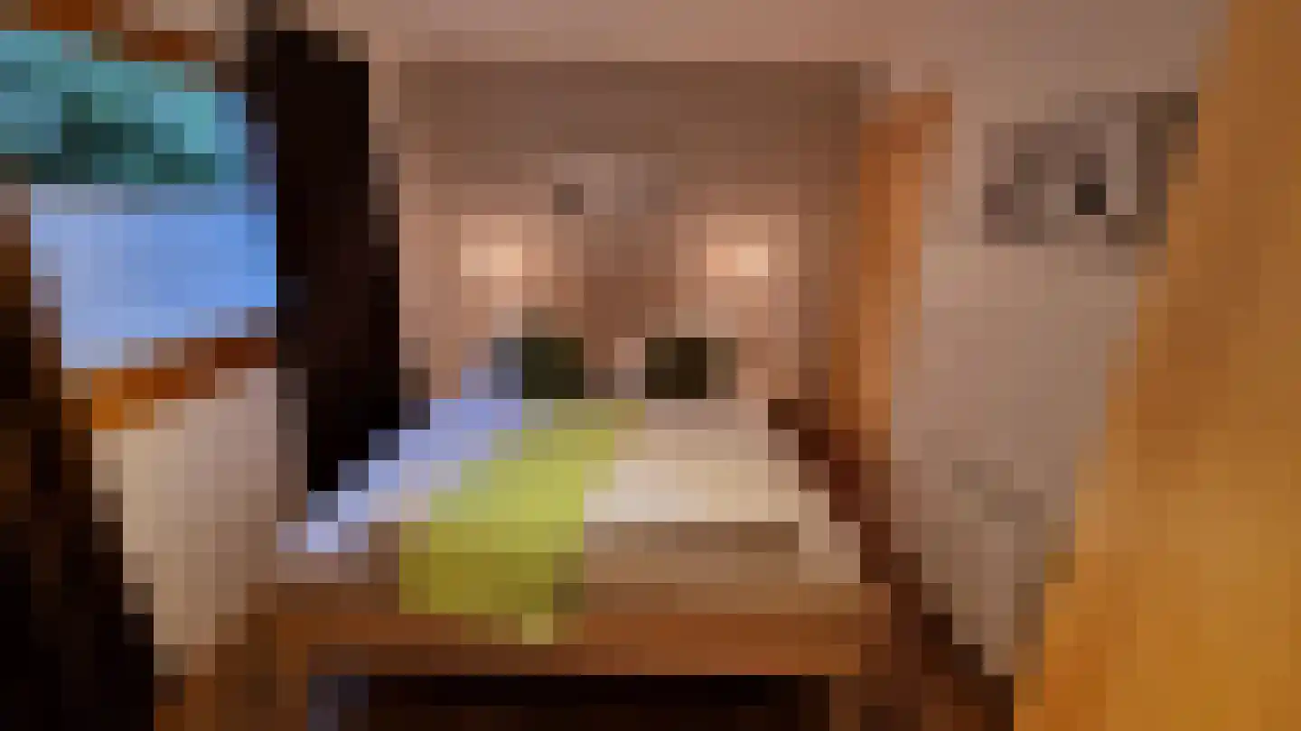 Oudedijk 1 h15 Schagen thumbnail 12