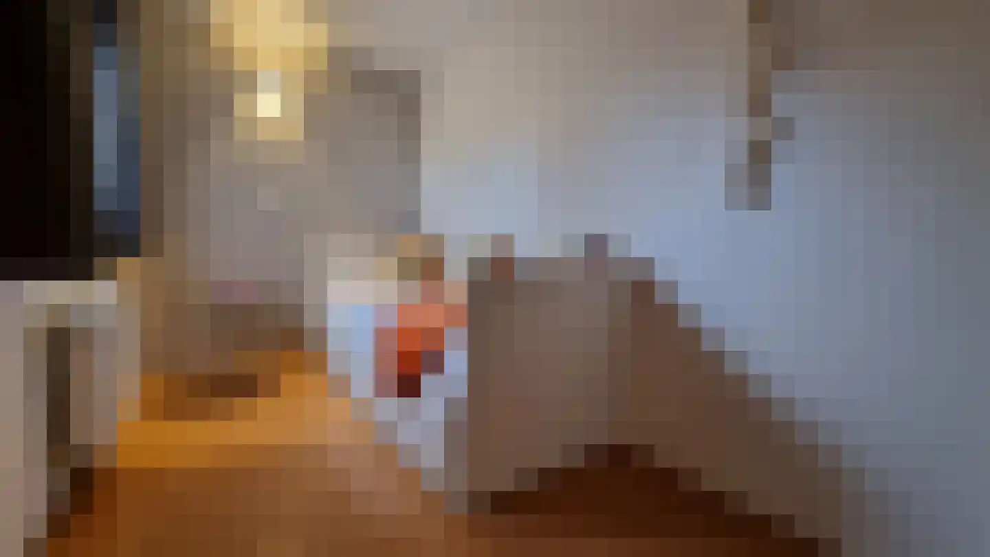 Oudedijk 1 h15 Schagen thumbnail 15