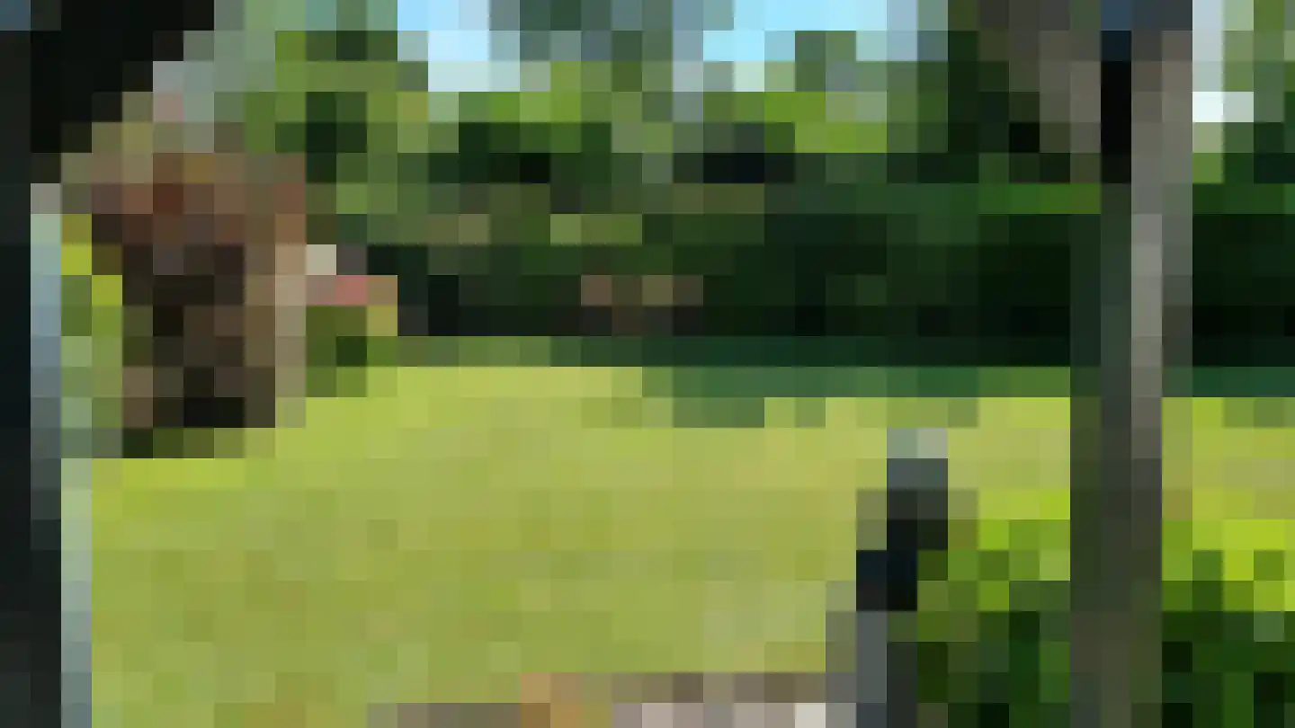 Oudedijk 1 h15 Schagen thumbnail 19