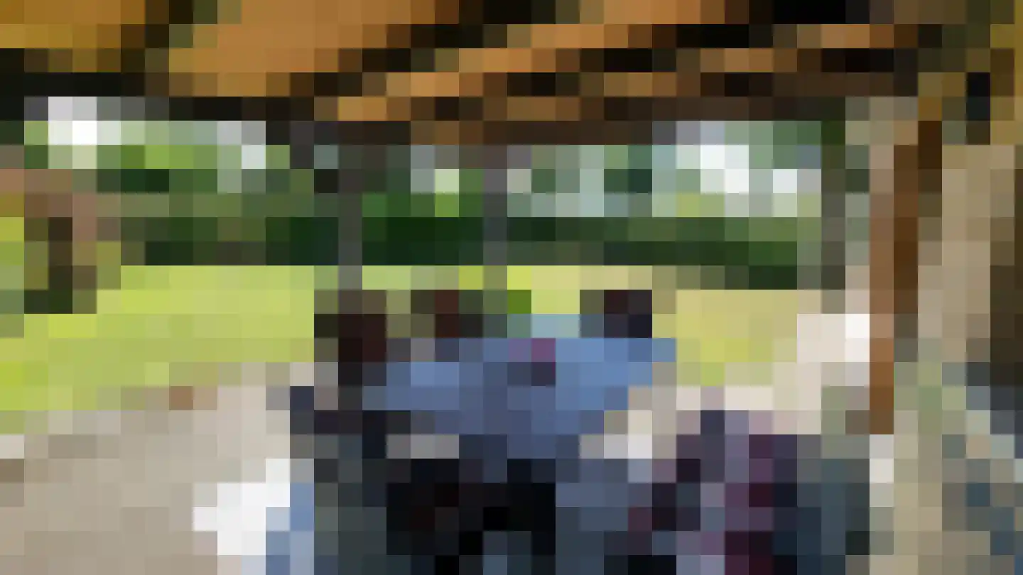 Oudedijk 1 h15 Schagen thumbnail 21