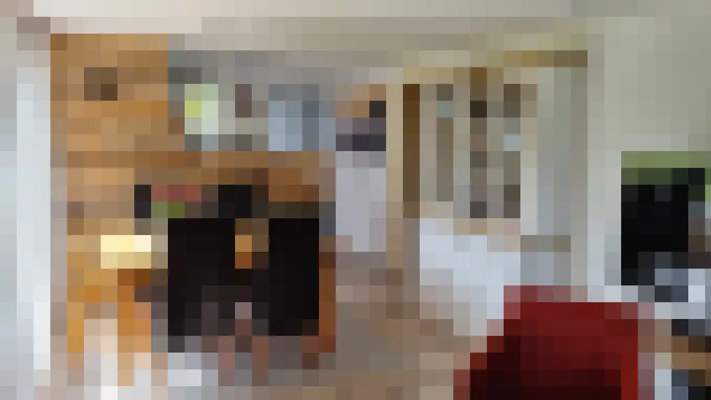 Oudedijk 1 h15 Schagen thumbnail 6