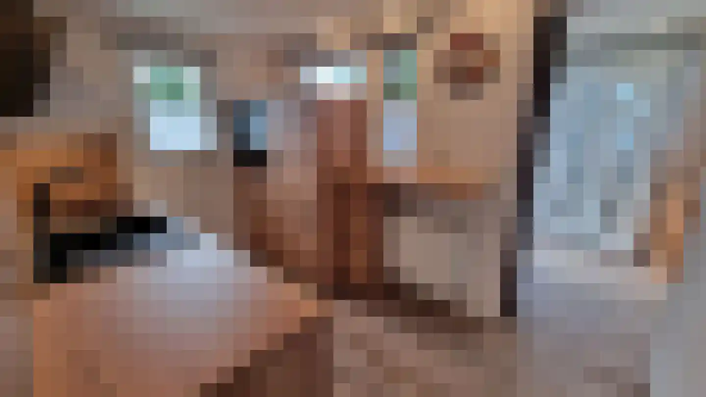 Oudedijk 1 h15 Schagen thumbnail 7