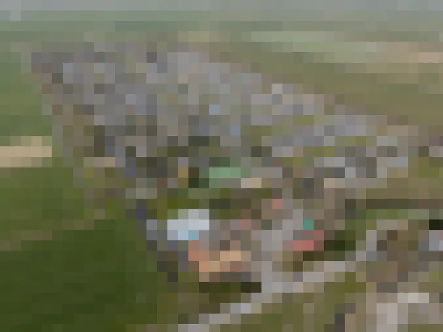 Oudedijk 1 h20 Schagen thumbnail 6