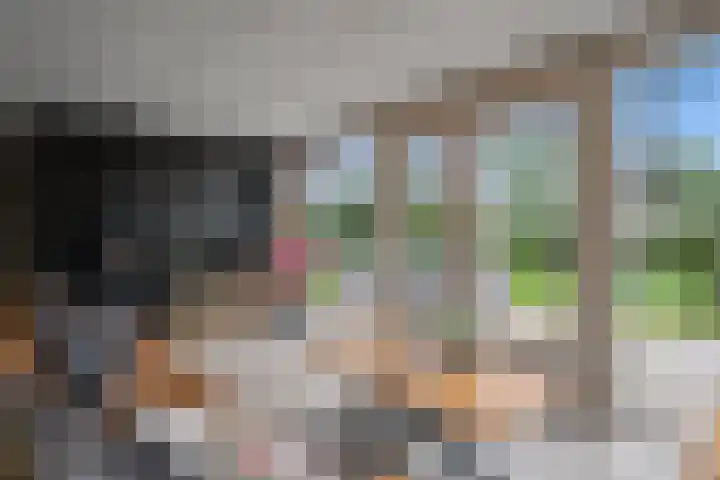 Oudedijk 1 h27 Schagen thumbnail 10